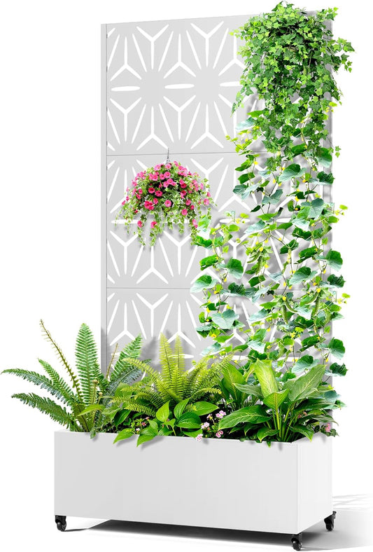 Metal Raised Garden Bed with Trellis, 2-in-1 Planter Box & Privacy Screen for Climbing Plants, Outdoor Standing Flower Bed with Drainage Holes, 35.4" L x 15.7" W x 70.1" H, White-Star