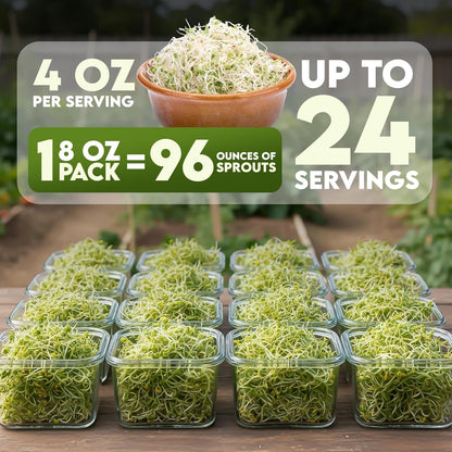 Nature Jims Sprouts Organic Broccoli Seeds for Sprouting – Certified Non-GMO, Rich in Sulforaphane, Swift-Growing Microgreen Seeds for Nutritious Broccoli Sprouts – Ideal for Indoor/Outdoor Use – 8oz