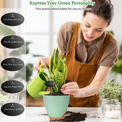 6 Inch Self Watering Pots for Indoor Plants (5-Pack) – Small Plastic Planters with Water Window, Drainage Holes & Trays, Indoor Outdoor Flower Pots for Herbs, Succulents, Home Garden Decor (Green)