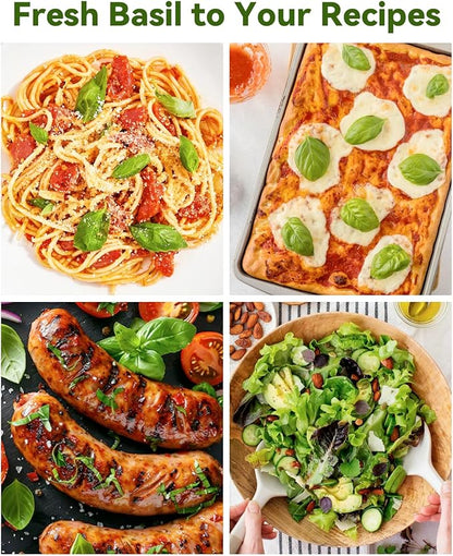 Hydroponics Seed Pod with Genovese Basil & Purple Basil, 24 Pods Complete Kit with Sponge, Basket, Dome, Label, Compatible with AeroGarden, Ahopegarden, GARDENCUBE, iDoo & MUFGA Indoor Smart Gardens