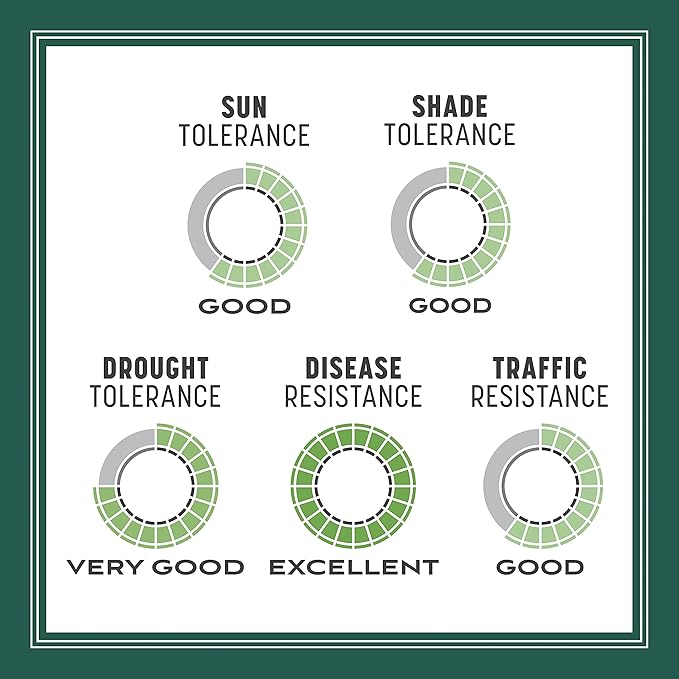 Pennington Smart Seed Sun and Shade Tall Fescue Grass Seed Mix for Southern Lawns 3 lb