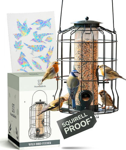 Hearts&Birds Squirrel Proof Bird Feeder with Anti Collision Sheet, Backyard Gift, Hanging Bird Feeder for Outdoors