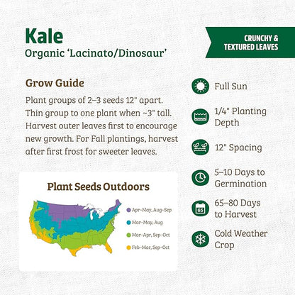 Back to The Roots 100% Organic Heirloom Seeds - Tuscan Kale Value Pack (560mg Total)