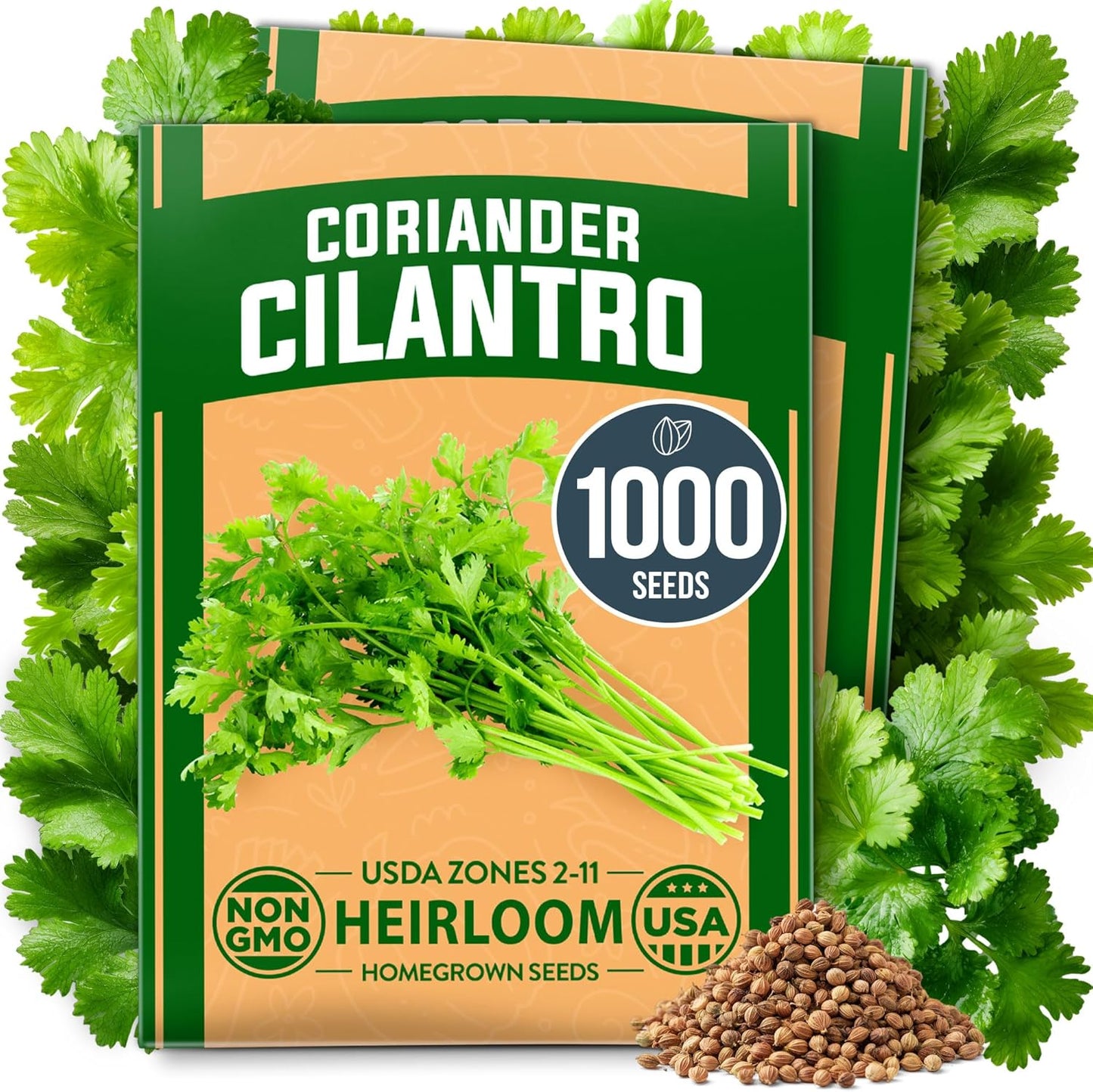 HOME GROWN 𝗨𝗦𝗔 𝗣𝗥𝗘𝗠𝗜𝗨𝗠 1000+ Cilantro Seeds for Planting Indoors or Outdoors - Non-GMO Heirloom Herbs, Coriander Plant Seeds, Herb Seeds Collection for Herb Garden (Coriandrum sativum)
