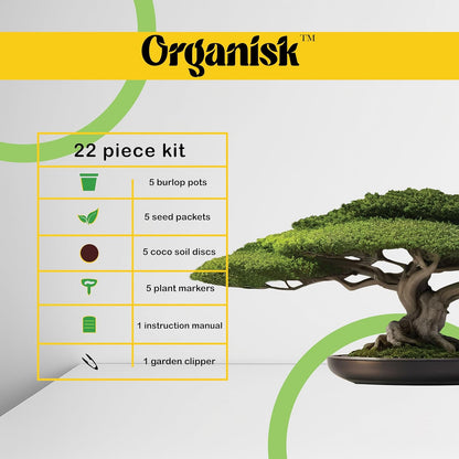 Bonsai Starter Kit - 5 Unique Tree Types, Special DIY Garden Hobby Kits - Great for Plant Lovers, for Kids, Men, Women, and Bonsai Enthusiasts