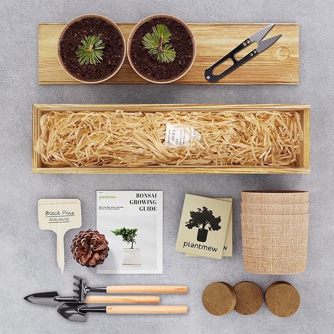 5 Pack Bonsai Tree Kit - Unique Gardening Gift Set for Plant Lovers | Complete Japanese Bonsai Starter Kit with Seeds, Tools & Planters | Ideal Christmas, Birthday Gifts for Women & Men