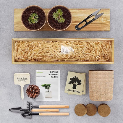 5 Pack Bonsai Tree Kit - Unique Gardening Gift Set for Plant Lovers | Complete Japanese Bonsai Starter Kit with Seeds, Tools & Planters | Ideal Christmas, Birthday Gifts for Women & Men