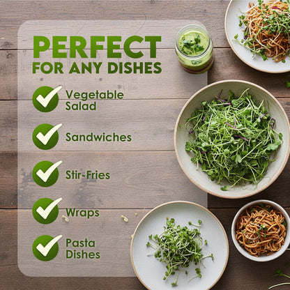 Nature Jims Sprouts Organic Broccoli Seeds for Sprouting – Certified Non-GMO, Rich in Sulforaphane, Swift-Growing Microgreen Seeds for Nutritious Broccoli Sprouts – Ideal for Indoor/Outdoor Use – 8oz