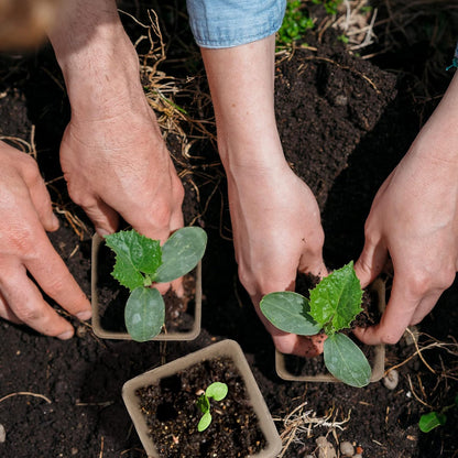 3T GROUP 120 Pack 3.15 Inch Square Small Plant Pots,Disposable Flower Pots,Mini Compostable Pot for Plant,Biodegradable Seed Planting Peat Seedling Pot Cups with 100 Labels,Tool,Pen