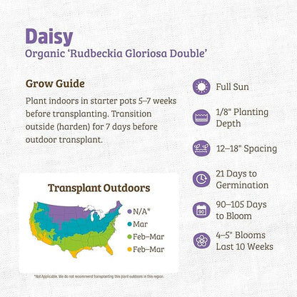 Back to The Roots 100% Organic Heirloom Seeds - Daisy Flower Value Pack (600mg Total)