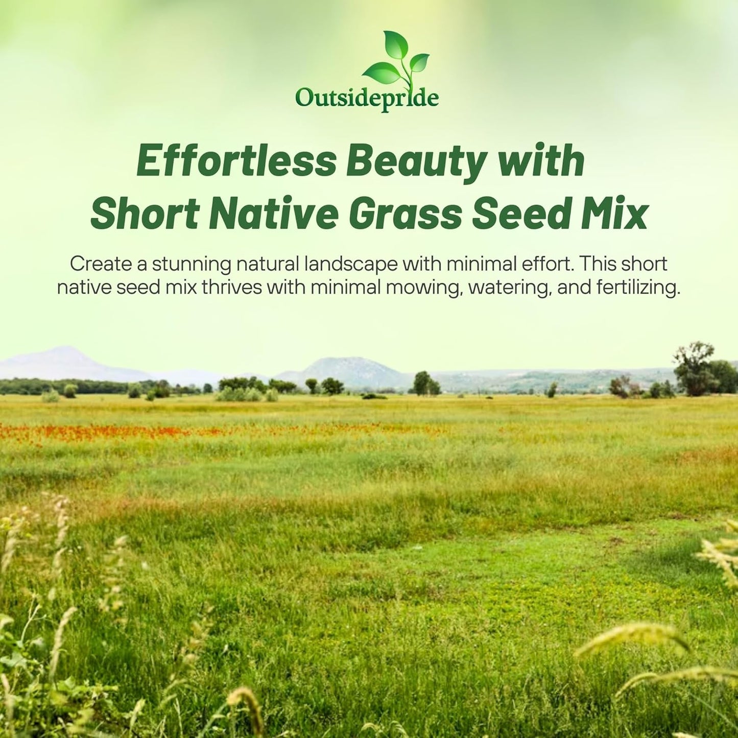 Outsidepride Perennial Short Native Grass Seed Mix - 25 lbs. Premium Mix of Blue Grama, Buffalo, Sideoats Grama, & Sheep’s Fescue Grass Seeds for Low-Maintenance, Heat & Drought-Tolerant Landscaping