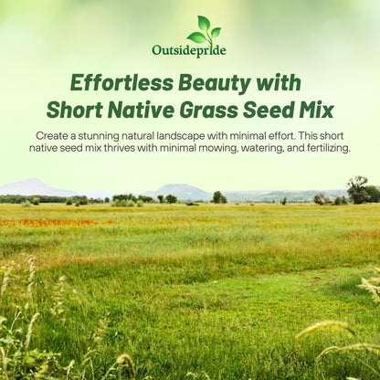 Outsidepride Perennial Short Native Grass Seed Mix - 5 lbs. Premium Mix of Blue Grama, Buffalo, Sideoats Grama, & Sheep’s Fescue Grass Seeds for Low-Maintenance, Heat & Drought-Tolerant Landscaping