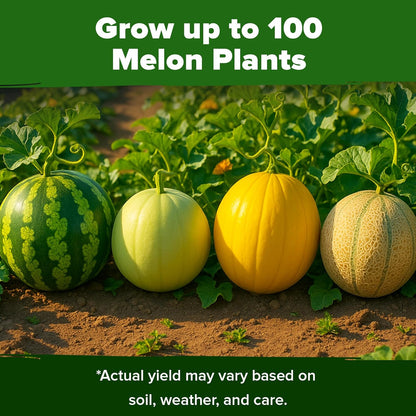 HOME GROWN 𝗨𝗦𝗔 𝗣𝗥𝗘𝗠𝗜𝗨𝗠 Melon Seeds Variety Pack 5 𝗡𝗢𝗡-𝗚𝗠𝗢 Heirloom Vegetable Seeds, Watermelon Cantaloupe Honeydew Sugar Baby & Melon, High Germination for Planting Home Garden Indoors