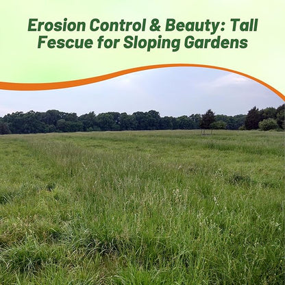 Outsidepride Forage Tall Fescue Grass Seeds - 25 lb. Perennial, Drought-Tolerant & Easy to Grow, Pasture Seeds for Planting Soft & Abundant Grass, Great for Grazing Livestock & Hay Production