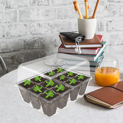 Gardzen 3 Pack Seed Starting Tray, Plant Germination Trays, Seed Starter Kit with Adjustable Humidity Vented Dome and Clear Base, Plant Growing Kit 6.6" x 4.5", Total 36-Cell, Clear