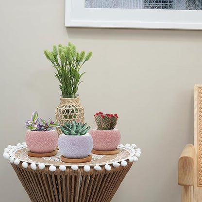 3 inch Ceramic pots for Plants, Small Succulent Pots Set with Drainage, 6 Pack Flower Pot for Indoor Plant, Planters for Little or mini Cactus 2 inches Plants (Pink/Purple)