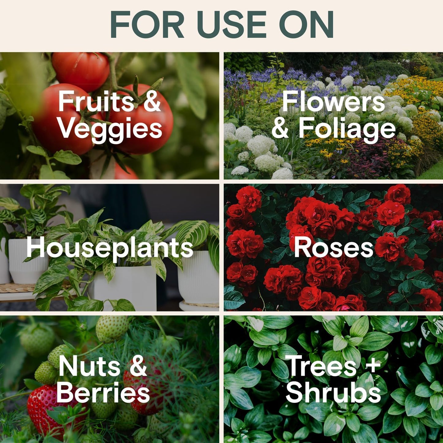 Organic Fungicide Liquid Concentrate for Indoor, Outdoor, and House Plants – Natural Fungicide for Plants, Lawn Fungus Treatment, Powdery Mildew Control, Mushroom Lawn Treatment, Spider Mite Defense