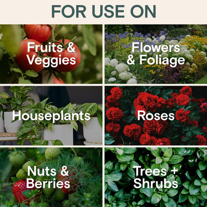 Organic Fungicide Liquid Concentrate for Indoor, Outdoor, and House Plants – Natural Fungicide for Plants, Lawn Fungus Treatment, Powdery Mildew Control, Mushroom Lawn Treatment, Spider Mite Defense