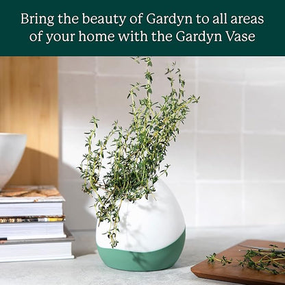 GARDYN Vase Complete Kit-Cauliflower White | Designed for use Hydroponics Growing System Kits & Vertical Garden Hydroponic Gardens | Bring Indoor Plants to All Areas of Your Home