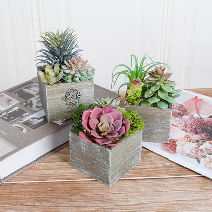 Small Fake Plants, 3 Packs Mini Succulent Plants Artificial with Led Lights for Indoor Bathroom Bedroom Desk Office Decor