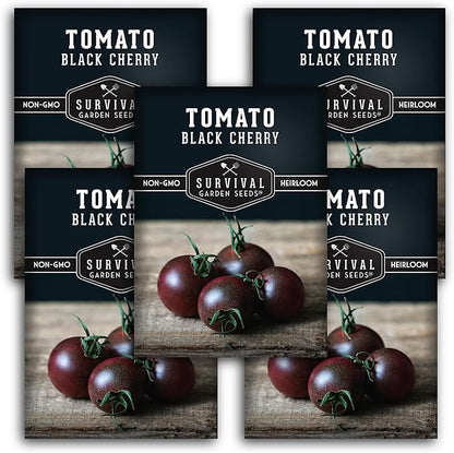 Black Cherry Tomato Seed for Planting - 5 Packets with Instructions to Plant & Grow Reddish-Purple Cherry Tomatoes in Your Home Vegetable Garden - Non-GMO Heirloom Variety - Survival Garden Seeds