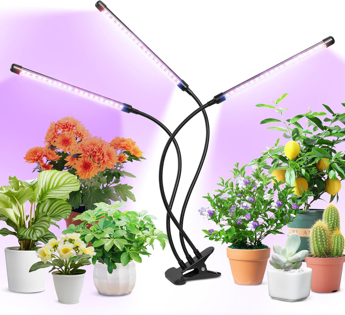 Clip Grow Light for Indoor Plants, Red Blue Spectrum Plant Growing Lamp with 3 Switch Modes,10-Level Dimmable,Auto ON & Off,3/9/12H Timer,Adjustable Gooseneck,1485 Lumen,Input Volateg 15W