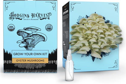 Oyster Mushroom Grow Kit | USDA Certified Organic | Grow Your Own Delicious Gourmet Mushrooms at Home