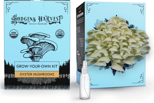Oyster Mushroom Grow Kit | USDA Certified Organic | Grow Your Own Delicious Gourmet Mushrooms at Home