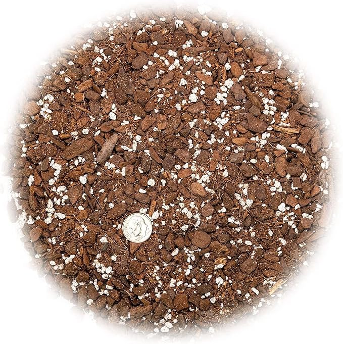 GARDENERA Monstera Borsigiana Soil Blend - Specially Designed for Unique Plant Needs - 4 Quart