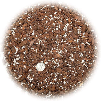 GARDENERA Monstera Borsigiana Soil Blend - Specially Designed for Unique Plant Needs - 4 Quart