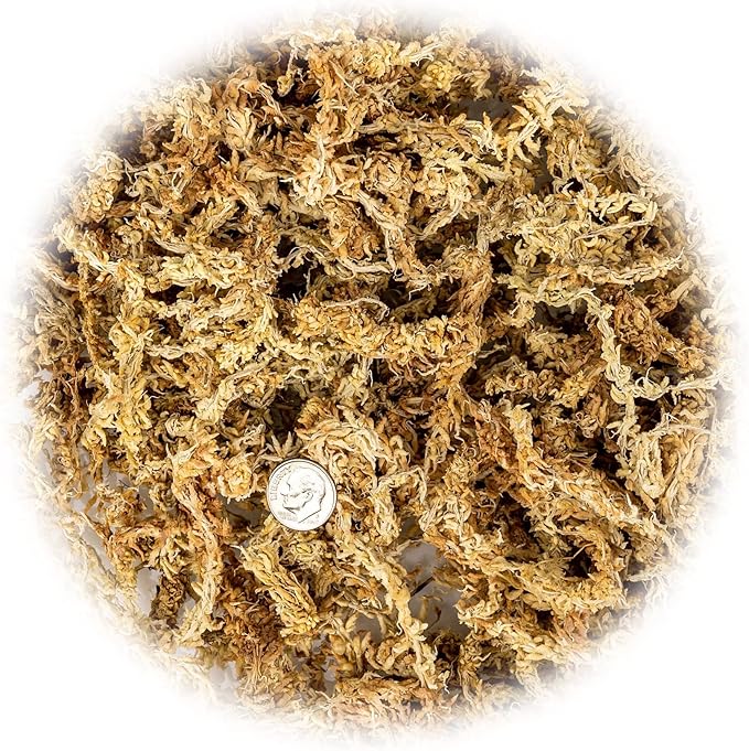 Premium Grade Sphagnum Moss by Gardenera - Organic Hand Mixed New Zealand Long Fibered Sphagnum Moss Orchid - 2 Quart