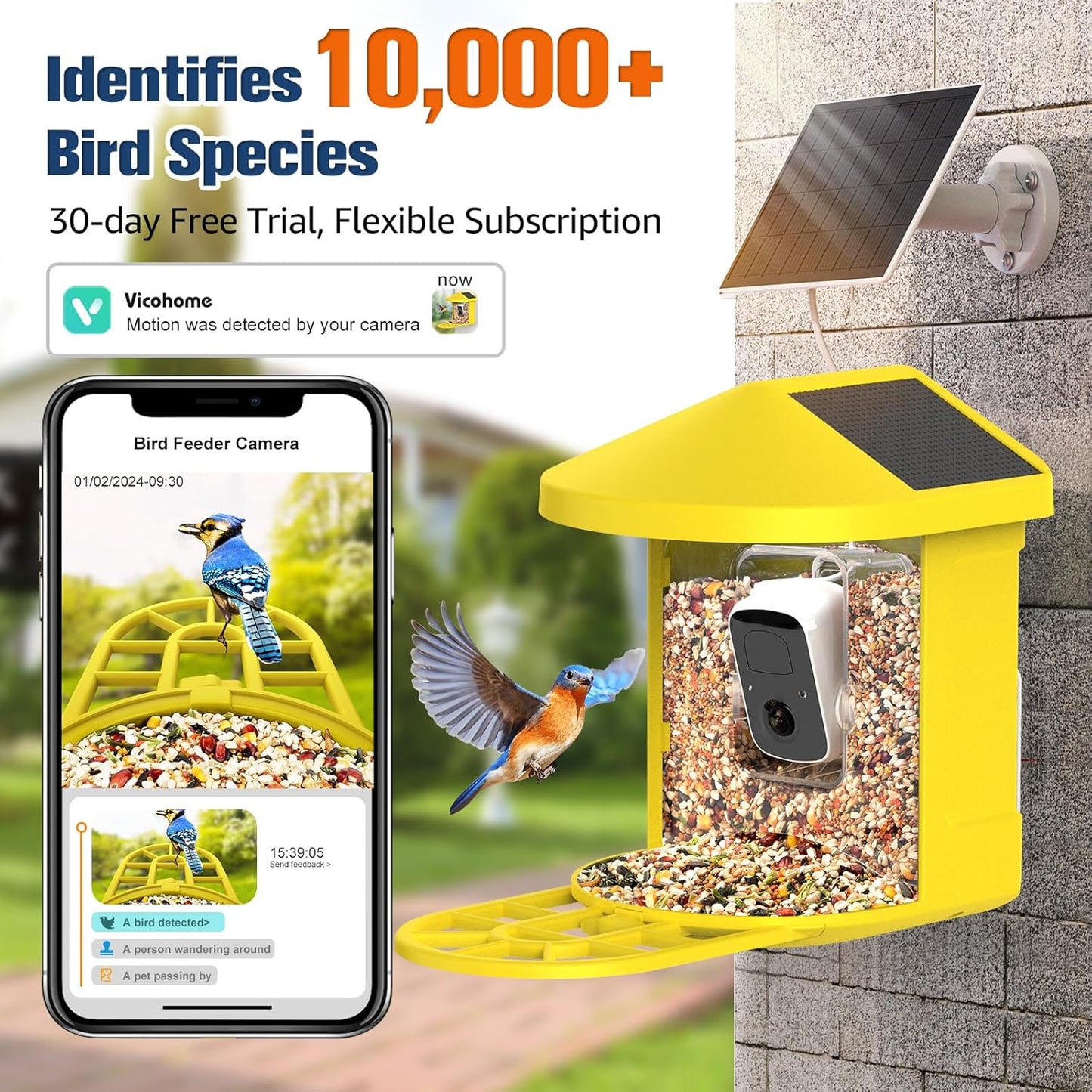 PeckCam® Bird Feeder with Camera with AI Identify 10000+ Birds Species, 3 Solar Panels, 2K Live View, Instant Arrival Alerts, Smart Bird House with Cam, Gift for Bird Lovers