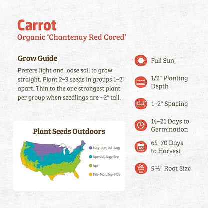 Back to The Roots 100% Organic Heirloom Seeds - Carrot 'Daucus carota' Value Pack (840mg Total)