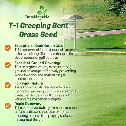 Outsidepride T-1 Creeping Bentgrass Seed - 5 lbs Fine-Bladed, Premium Quality Turf, Grass Seed for Smooth Surface, & High-Traffic Areas, Ideal Grass for Golf Courses Putting Greens, & Fairways