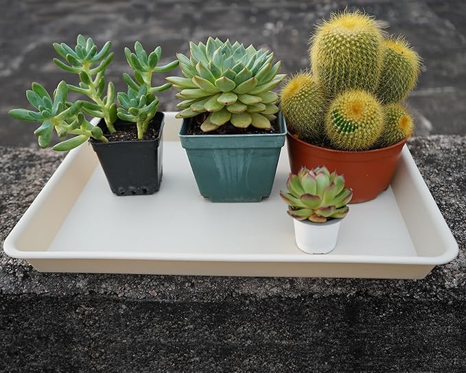 Rectangle Plant Tray, Plant Drip Tray, Plant Pot Saucers, Plant Germination Trays, Plant Saucers, 14.5'' x 11'' x 1.5'' (2 pack), Beige