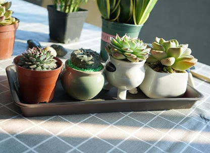 4-Pack Plastic Plant Trays - Rectangular 16 inch, Indoor/Outdoor Plant Saucer, Water Drip Protection, Fits Flower Pots, 7.0 x 16.1 inches, Brown