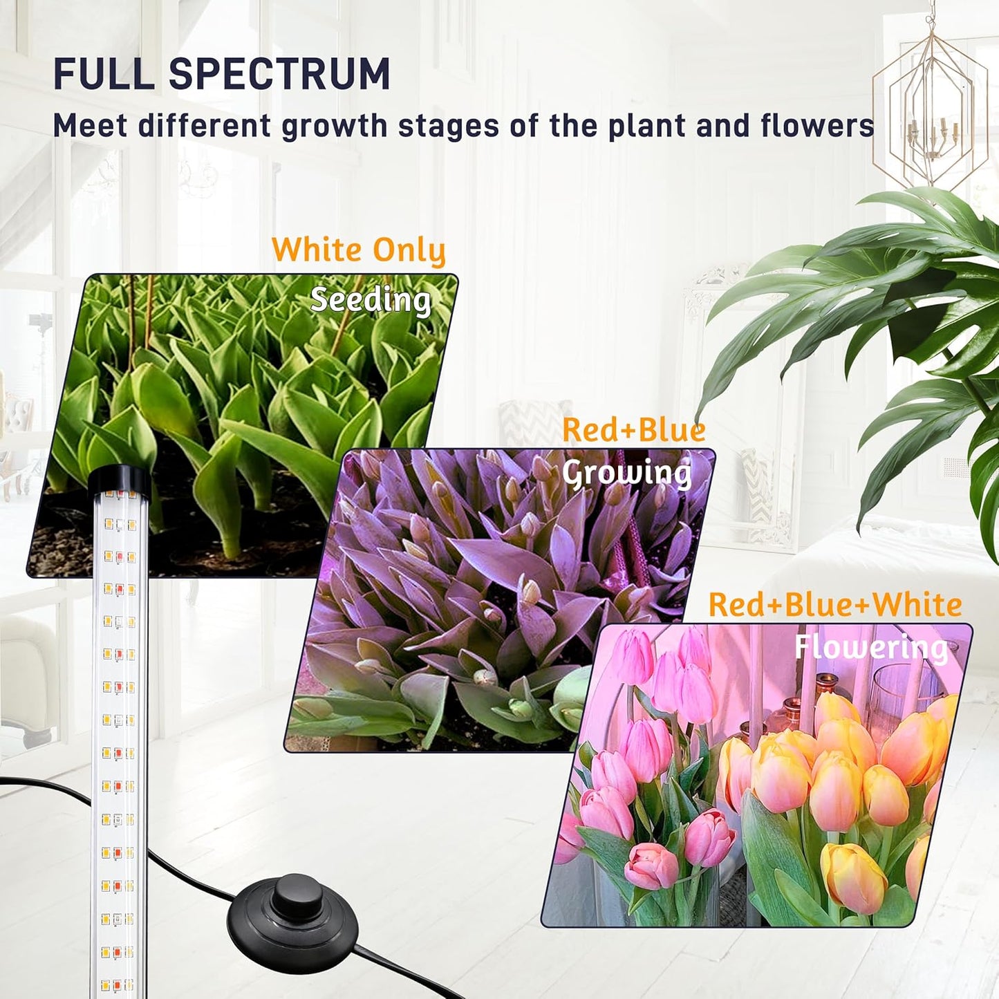 2PCS T8 Standing Grow Light, 42W Full Spectrum LED Grow Light for Indoor Plants, Plant Lamp with 243 LEDs, Wide Illumination Area, 4FT Height with On/Off Switch and Tripod Floor Stand