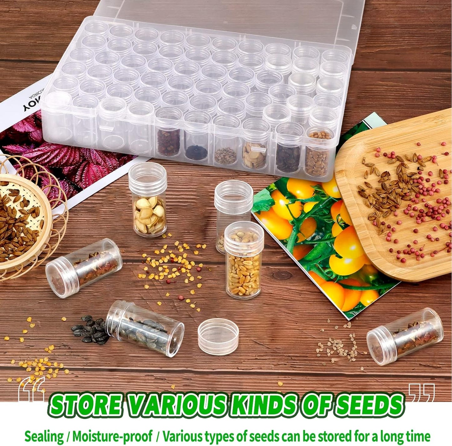 60-Slots Seed Storage Organizer Box with Label Stickers, Seed Storage Container for Flower Plants, Seeds & Bulbs, Flower, Vegetable, Clover and Basil Seeds, Gardening Supplies & Organizer