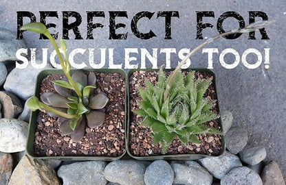 High Drainage Cactus Soil Potting Mix with Mycorrhizal Fungi - 8 Pounds / 4 Quarts of Soil for Succulents and Cactus - Slightly Acidic, Gritty Soil for Healthy Indoor Plants - Spike & Bloom