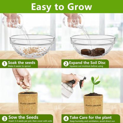 Bonsai Tree Kit, Bonsai Starter Kit with Seeds Tools & Planters, Tree Live Plants Indoor, Gardening Gifts for Women Men Mom Father Plant Lover, Birthday Thanksgiving Christmas Gifts