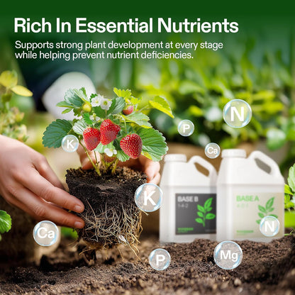 VIVOSUN Liquid Nutrients Base A & B Bundle, Grow Big Hydroponic Fertilizer, Supports Vegetative and Flowering Stages for Outdoor, Indoor Plants, Best Plant Food, Set of 1 Gallon