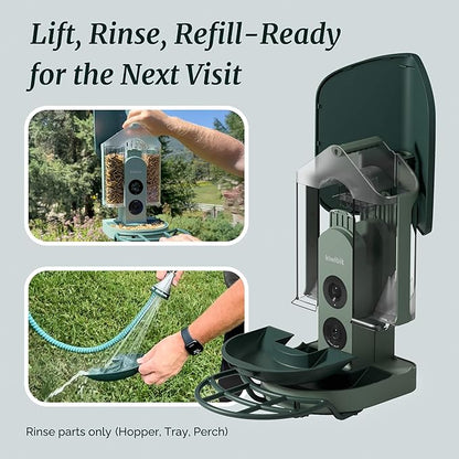 Beako™ Smart Bird Feeder with 4K Camera 4.4W Solar Roof for Outdoors - Ultra HD Live Stream & Photos, 10,000+ Bird Species AI-Identified, Real-Time Motion Detection, Easy Setup, Refill & Clean