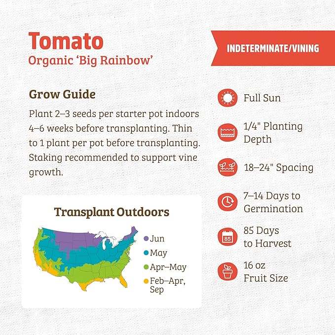 Back to The Roots 100% Organic Heirloom Seeds - Rainbow Tomato Value Pack (200mg Total)