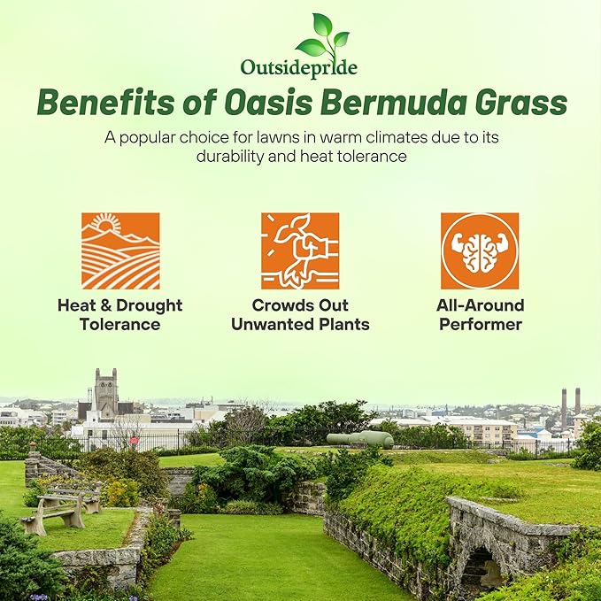 Outsidepride Oasis Bermuda Grass Seed - 5 lbs Warm Season, High Traffic, Heat Resistant, Drought-Tolerant, Low-Maintenance, Fast Growing Turf Grass for Lawn, Ideal for Sunny Areas, Thick Coverage