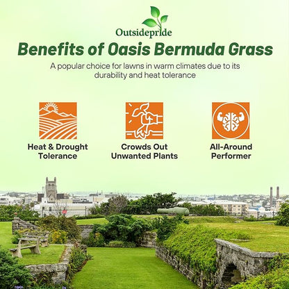 Outsidepride Oasis Bermuda Grass Seed - 5 lbs Warm Season, High Traffic, Heat Resistant, Drought-Tolerant, Low-Maintenance, Fast Growing Turf Grass for Lawn, Ideal for Sunny Areas, Thick Coverage