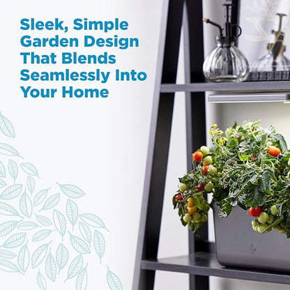 AeroGarden Harvest 2.0, Indoor Garden Hydroponic System with LED Grow Light, Holds up to 6 AeroGarden Pods, Charcoal