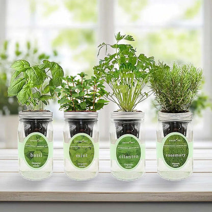 Hydroponic Herb Growing Kit Set, Self-Watering Mason Jar Herb Garden Starter Kit Indoor, Grow 4 Kinds of Herbs from Seeds (Basil, Mint, Cilantro & Rosemary)