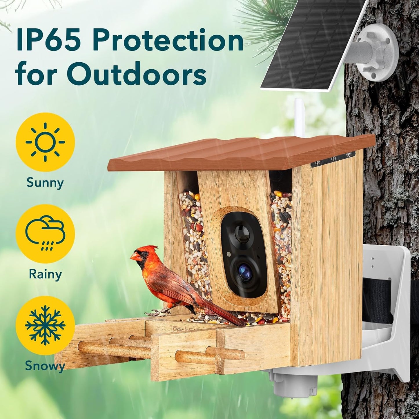 PeckCam® Bird Feeder with Camera - 4MP 2K Live AI Bird Species Identification Instant Arrival Alerts - Smart Cameras Birds Feeders Solar Powered Birdwatching Gift for Birdlover Mom Dad, 2.4GHz WiFi
