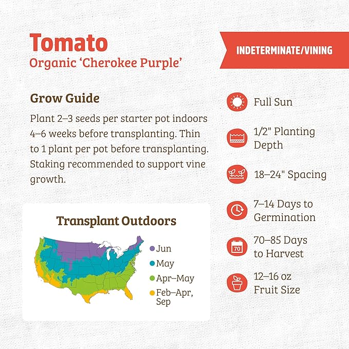 Back to The Roots 100% Organic Heirloom Seeds - Heirloom Cherokee Purple Tomato Seeds for Planting Value Pack (200mg Total)