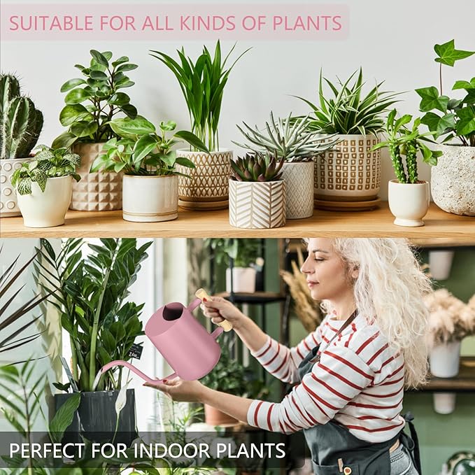 Watering Can Indoor Plants, 35oz Small Indoor Stainless Steel Metal Watering Can Modern Decorative Watering Pot with Long Spout for Indoor House Plant Bonsai Garden Flowers (Pink)